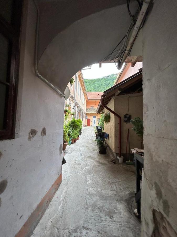 Guest House Rusu Brašov Exteriér fotografie